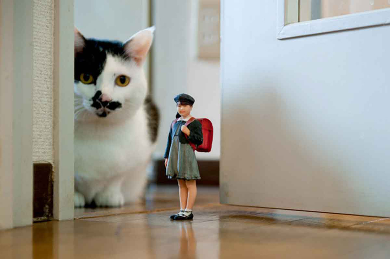Кошка смотрит на 3d фигурку девочки